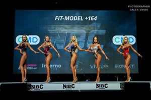 FIT-MODEL +164 1 раунд